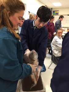 Science Education at Seton Private Catholic School in Northern Virginia